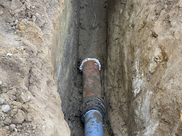 Best Flood damage cleanup  in Van Alstyne, TX