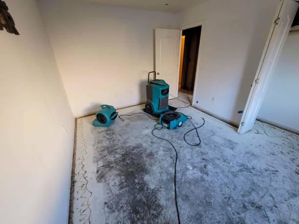 Professional Water damage restoration in Van Alstyne, TX