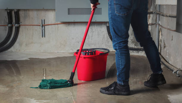Best Water damage restoration specialists  in Van Alstyne, TX