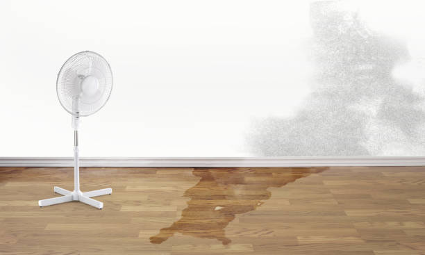 24/7 water damage repair in Van Alstyne, TX