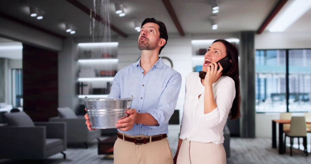 Best Water damage contractors near me  in Van Alstyne, TX